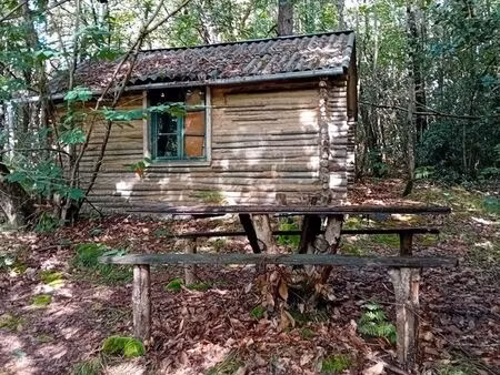 parcelle de bois 2 hectares