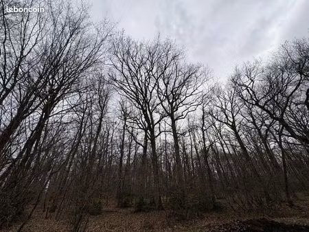 terrain 14958 m² proche ardentes