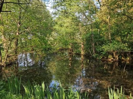 terrain + etang