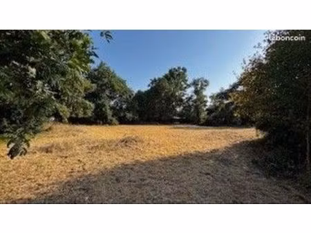 terrain 1 250 m² lege cap ferret