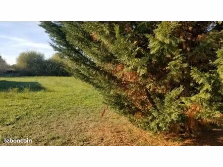 terrain 600 m² saint quentin de baron