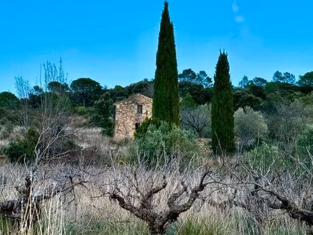 terrain de caractère de 11744 m2 avec petit mas cadastré et vue imprenable