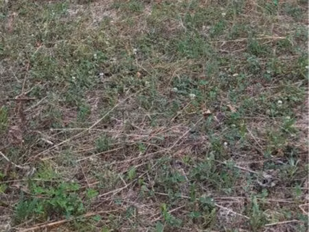 vends terrain a bâtir