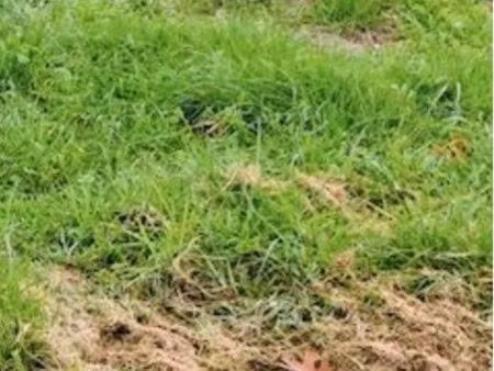 recherche de terrain agricole ou industriel