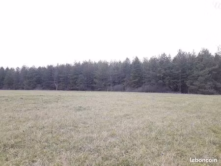 terrain 58977 m² fontaines en sologne