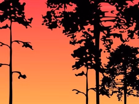 recherche viager libre - petite maison