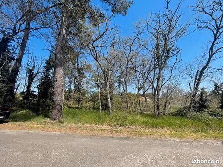 terrain constructible