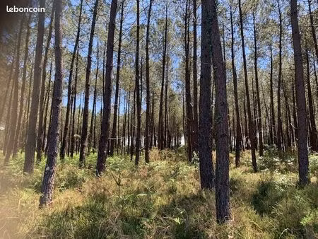 terrain 1500 m² soustons