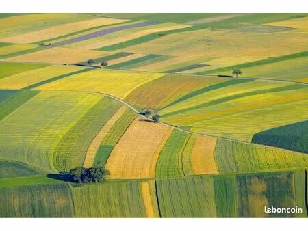 terrain agricole