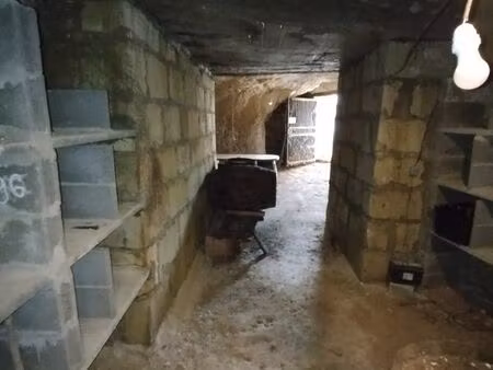 cave troglodytique en tuffeau avec 1 300 m² boisés attenants – bien rare