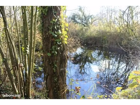 terrain 2555 m² jaulnay