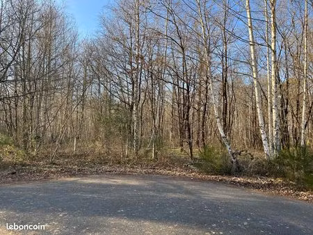 terrain boisé 7500m2 au calme