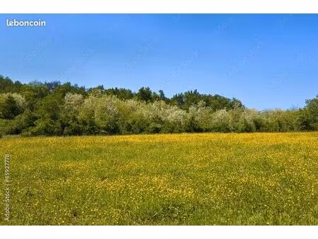 recherche terrain agricole