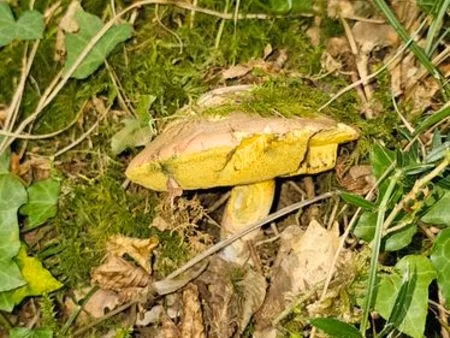 recherche grande maison