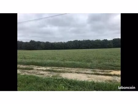 3 hectares magnifiques  terrain plat agricole irrigable   tranquillité et facilité d accès