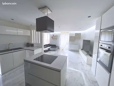 duplex lumineux avec beaux volumes – balcon – centre rives