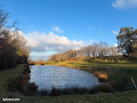 étang de 1 800 m2 à vendre sur terrain de 5 286m2