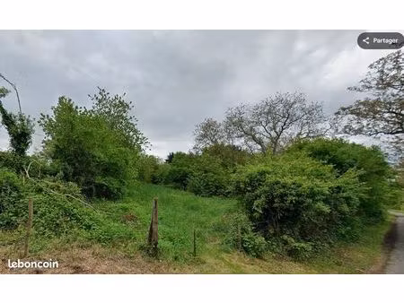 terrain à montlivault