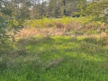 terrain 730 m² le temple