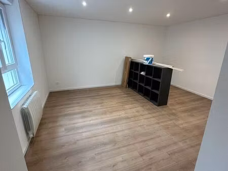 appartement rénové  moderne et lumineux