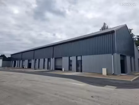 local 180 m² hellemmes lille