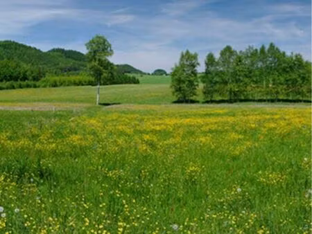 terrain constructible 3302