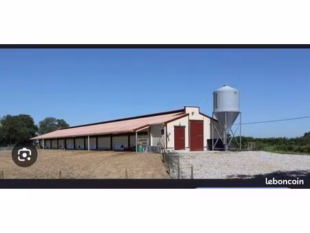 bâtiment avicole ou terrain