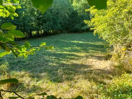 location/vente de terrain avec potentiel constructible – projet locatif – murol (63790)