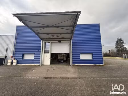 local 527 m² selestat