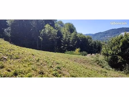 terrain 1563 m² russ