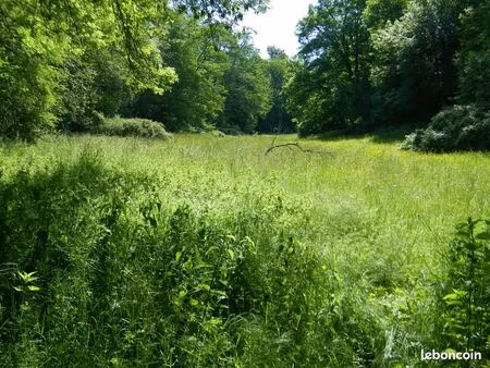 grand terrain à bâtir