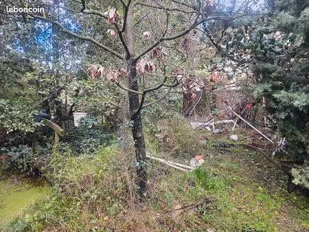 maison grand terrain