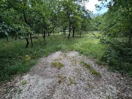 terrain boisé à construire