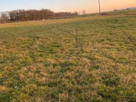 terrain d’herbage 1 5 hectares