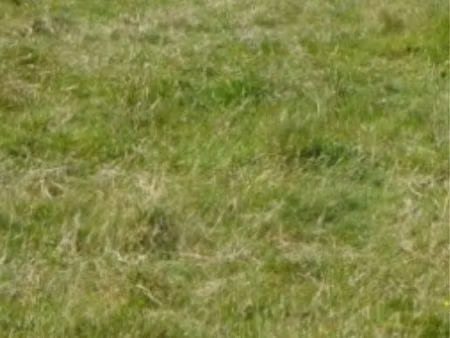 terrain 250 m2 non viabilisé constructible libre constructeur centre ville saint molf sur 