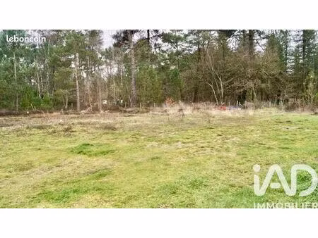 terrain 754 m² fillé