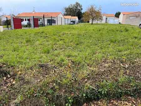 terrain libre de constructeur