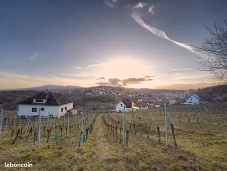 terrain constructible d’exception à rosenwiller à 5 minutes de rosheim