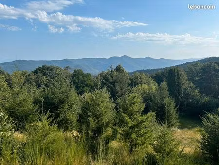 a vendre studio 55 00