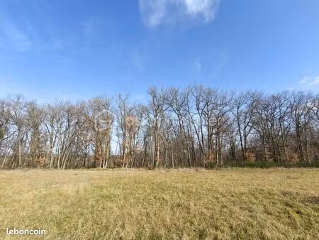 forêt 815 m² montdurausse