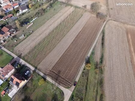 terrain 17 ares - 500 m² constructible -calme absolue