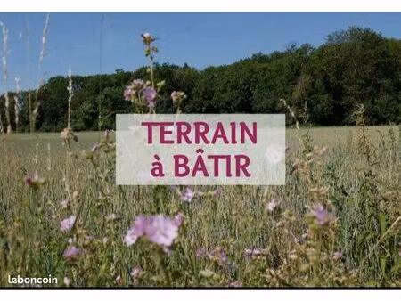 terrain constructible