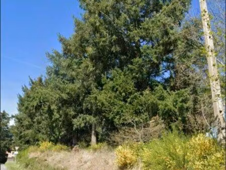 terrain    zone agricole 2000 m² sur la commune de renaison