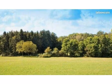 maison 346 m² benfeld