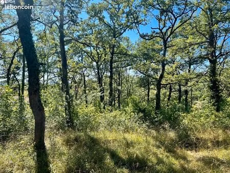 terrain 2 400 m² esclauzels