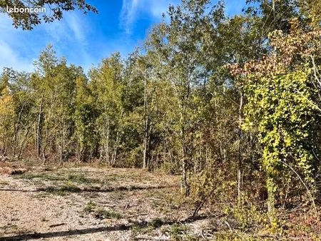 terrain 1 318 m² lalbenque