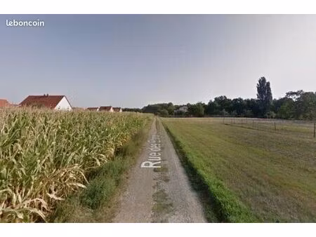 terrain 358 m² niederhergheim