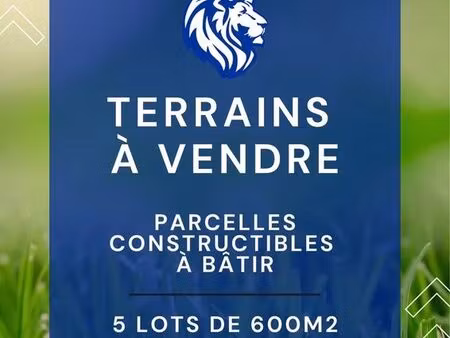 terrain 600 m² havrincourt