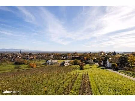 terrain 314 m² wuenheim