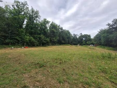 beau terrain non constructible larchant